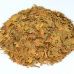 dried ginkgo biloba leaves for tea