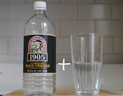 a bottle of vinegar and a clear glass of water