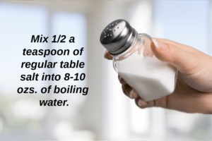 hand holding a shaker of regular white table salt